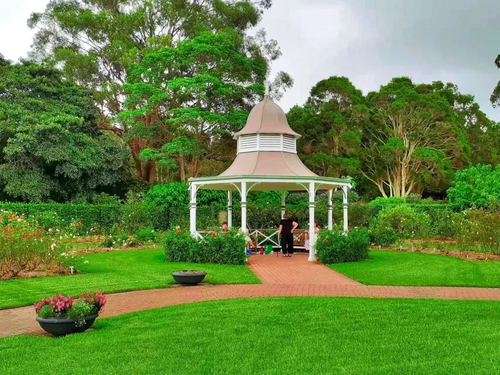 Nanyang Çince Tercüman