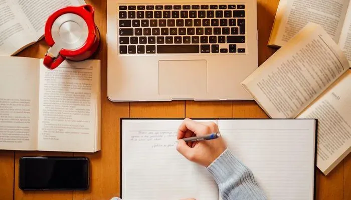 Çince Türkçe Akademik Tercüme