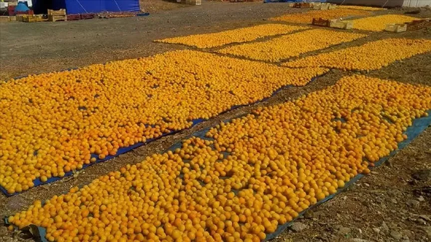 Malatya Çince Türkçe Tercüman