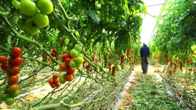 Antalya Çince Türkçe Tercüman