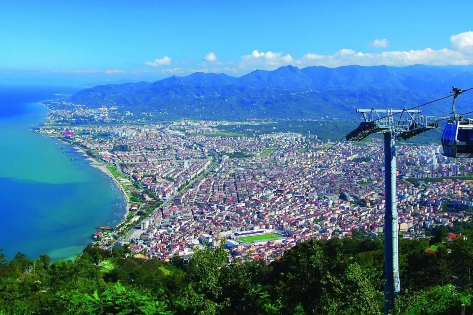 Ordu Çince Türkçe Tercüman