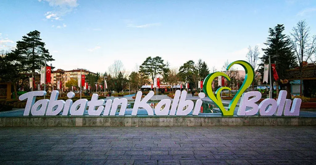 Bolu Çince Tercüman