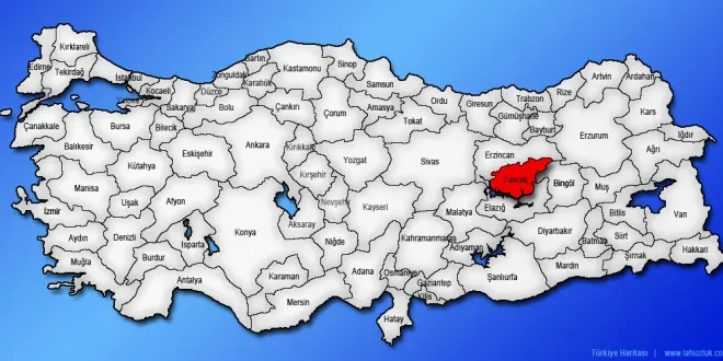 Tunceli Çince Tercüman