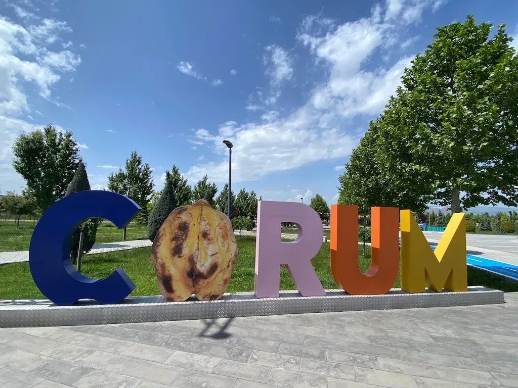 Çorum Çince Tercüman